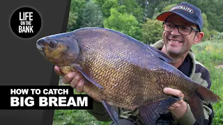 BREAM FISHING | HOW TO CATCH BIG BREAM