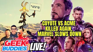 WB Kills ‘Coyote vs Acme’ Again, Bob Iger Slows Down Marvel Output - THE GEEK BUDDIES