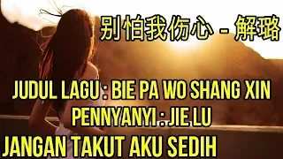 Lagu mandarin Terjemahan Indonesia,Bie pa wo shang xin,别怕我伤心 解璐