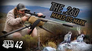 A Savage on the Loose: The .260 Makes its Mark! | The Oxwagon Diaries, pt.42 (Monkey Hunting)