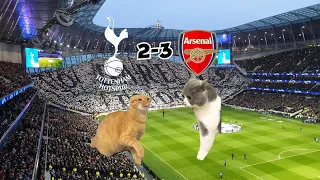 CAT MEMES FOOTBALL - Tottenham Hotspurs 🆚️ Arsenal | EPL 23/24 l North London Derby!