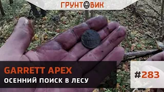 #283 Осенний поиск в лесу с Garrett Apex