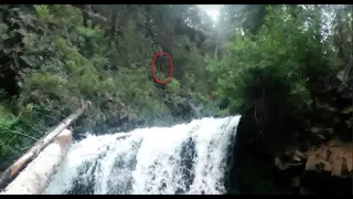 White Mountain Sasquatch Arizona Apache Bigfoot