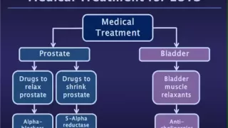 Medical Treatment fro Benign Prostatic Hyperplasia (BPH)/Lower Urinary Tract Symptoms (LUTS)