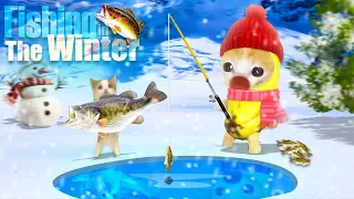 BANANA CAT FISHING IN THE WINTER | Happy Cat Funny 62