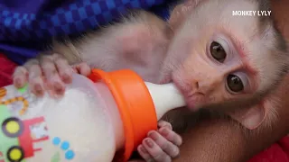 Cute Baby Drinking Milk With Milk Bottle| Good Health Lyly Sleep Milk