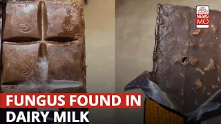 Hyderabad Resident Finds 'Fungus' In Cadbury Dairy Milk