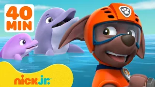 PAW Patrol Zuma’s Ocean Adventures! w/ Rocky & Chase 🐬 40 Minute Compilation | Nick Jr.