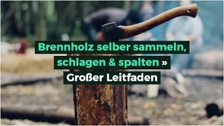 Brennholz selber sammeln, schlagen & spalten » Großer Leitfaden