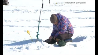 Состоялся чемпионат по ловли на мормышку