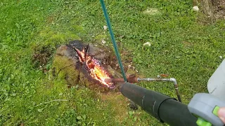 Absolutely the fastest way to burn a stump