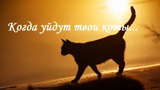 Когда уйдут твои коты. Автор Умай Половецкая.