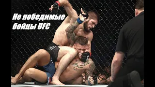 5 непобедимых бойцов ufc.