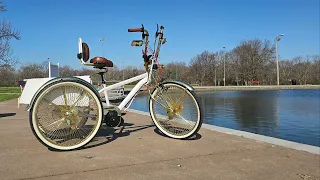 Custom Lowrider Etrike 2024