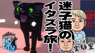 【猫動画】「イタズラするニャ！」迷子の子猫が日本の下町をお散歩するゲーム【Little Kitty Big City】