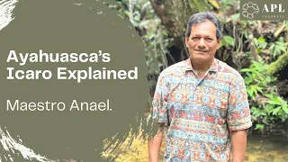 Ayahuasca Icaro explained by Peruvian Shaman