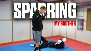 Martial Artist vs Non Martial Artist Brother
