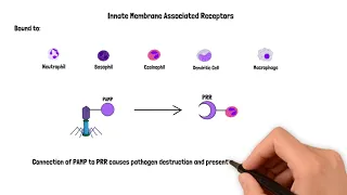 Receptor Ligand Binding