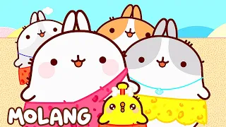 Molang - How To Make Friends 🌸 Cartoon for kids Kedoo Toons TV