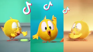 SHORTS CHICKY | CHICKY'S FAVORITE SONG | Where's Chicky #shorts