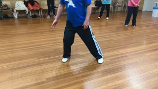 Footwork for Single Whip with extra steps