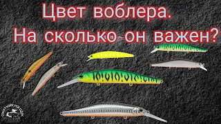 Цвет воблера. На сколько он важен?