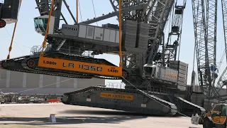 The Most Favorite Liebherr  Crawler Crane All The Time