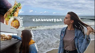 *:･ﾟ✧ life ep.1: калининград: море и вкусные булочки