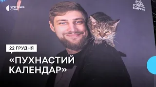 Різдвяний благодійний календар готує волонтер, який опікується безпритульними тваринами в Сумах