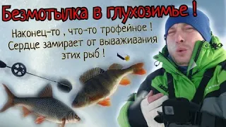 Безмотылка!Наконец то я с трофеями!