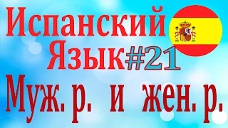 Мужской и женский род ║ Урок 21║ Испанский язык для начинающих║ Карино