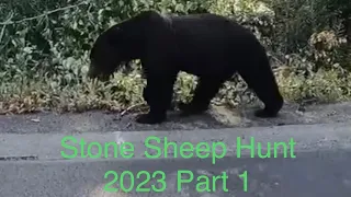 Stone Sheep Hunt 2023 - The Hike In - Part 1