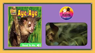 Aye Aye