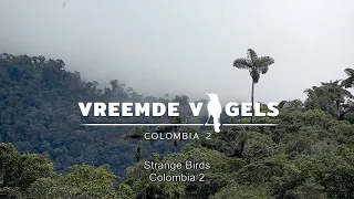 Documentary: The amazing nature of central Colombia second episode