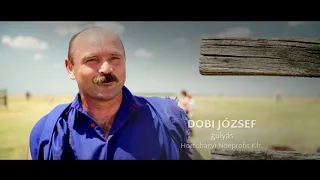 XXI. Országos Gulyásverseny és Pásztortalálkozó (2017) - Hortobágy