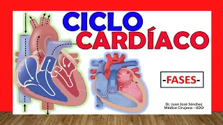 🥇 CARDIAC CYCLE. Easy Explanation!