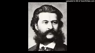 Johann Strauss - Der Zigeunerbaron ( The gypsy baron ) - I. Introduction