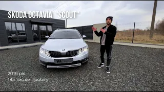 SKODA OCTAVIA "SCOUT" | 2019 рік | 2.0 TDI | детальний огляд автомобіля