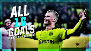 Erling Haaland - All 16 Goals for Borussia Dortmund 2019/2020