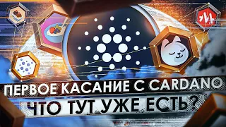 Обзор приложений на Cardano (Nami, SandaeSwap, Minswap, MuesliSwap)