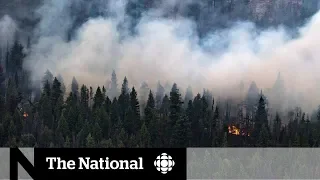 People endangered by wildfires defy evacuation orders