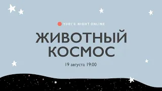 Животный космос: онлайн-лекция и zoom-talk о живом в космосе