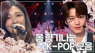 3월이면 봄이잖아요..?🌸 케이팝 봄 향기나는 노래 몰아듣기🌷 | #소장각 | KBS 방송