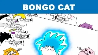 Bongo Cat 1 HOUR COMPILATION