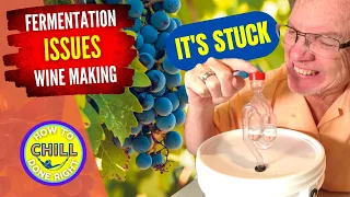 Wine Fermentation Problems Solved - Wine Fermentation Common Issues and Fixes