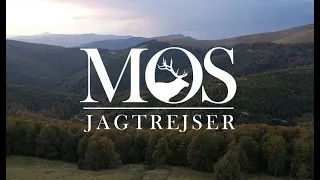 Rumænien Teaser   MOS Jagtrejser