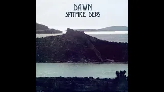 Spitfire Debs / Darkness