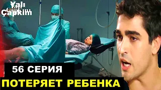 Зимородок 56 серия русская озвучка