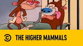 The Higher Mammals | The Ren & Stimpy Show | Comedy Central Africa