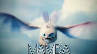 Light fury~MAMBA